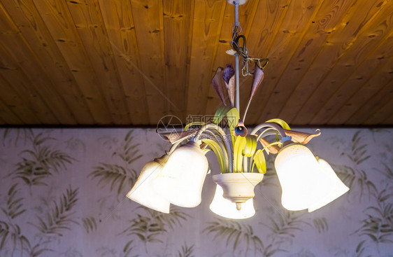 枝形吊灯优质的花朵挂在木天板上装饰有鲜花的灯具家用内衣的轻光复古吊灯塔图片