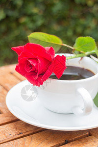 叶子家庭花园的黑咖啡杯股票照片放松开花图片