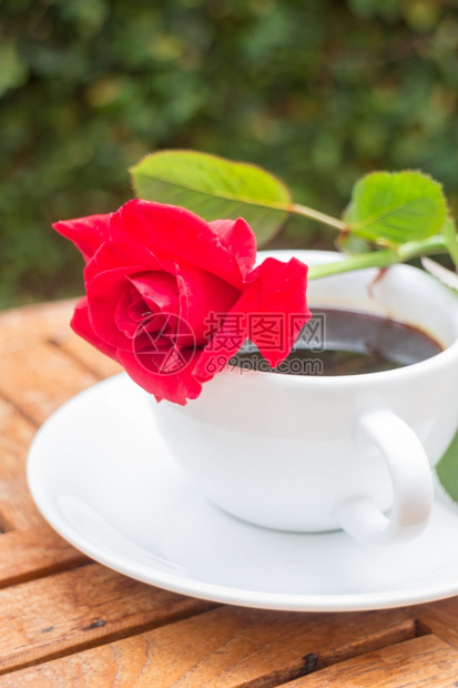 叶子家庭花园的黑咖啡杯股票照片放松开花图片