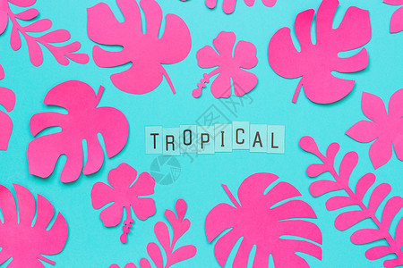 花的园棕榈时尚粉红色热带纸叶和蓝背景上的热带文字题词平躺自上而下的构图创意纸艺术时尚的粉红色热带纸叶和蓝背景上的文字热带背景图片