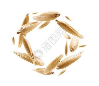 燕麦粒悬浮在白色背景上燕麦粒悬浮在白色背景上框架放玉米图片