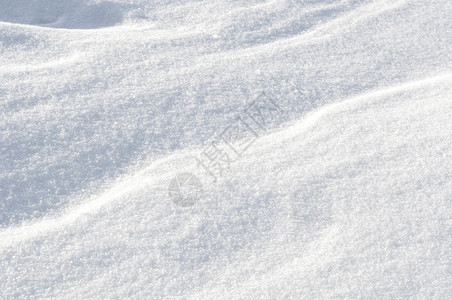 新的冬雪背景白色非正常形状新鲜的树图片