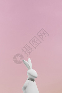 粉色里的兔子模型图片