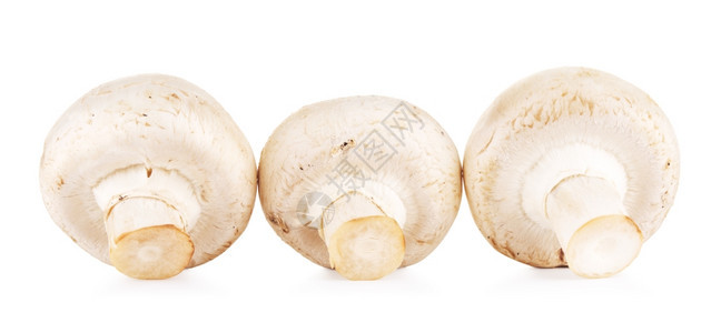 新鲜的玉米蘑菇白底孤立于世营养可食用的蔬菜图片