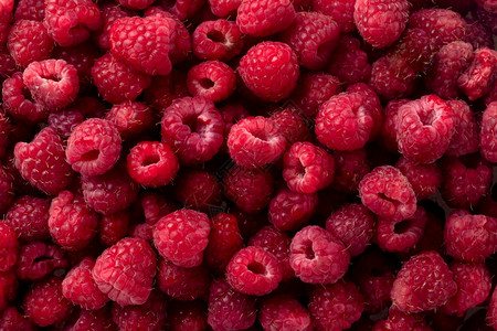覆盆子作为食物背景的可口新鲜和甜红树莓健康食品有机营养悬钩子天然抗氧化剂和维生素水果农业多汁的红色图片