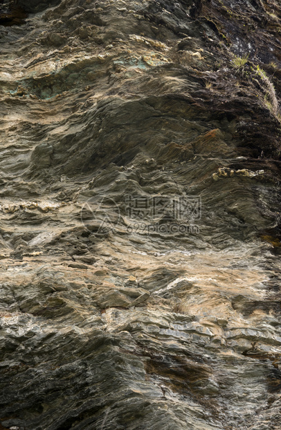 矿物和石块质料或背景岩山和石的形态片麻附生植物或者图片