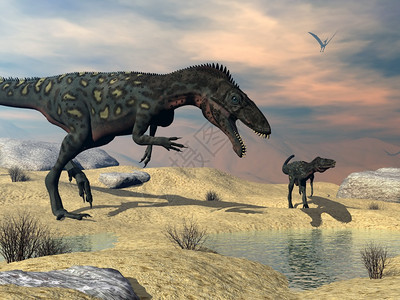 进化古艺术两只在沙漠中寻找水的masiakasaurusknopfleri恐龙3D渲染沙漠中的Masiakasaurus渲染使成图片