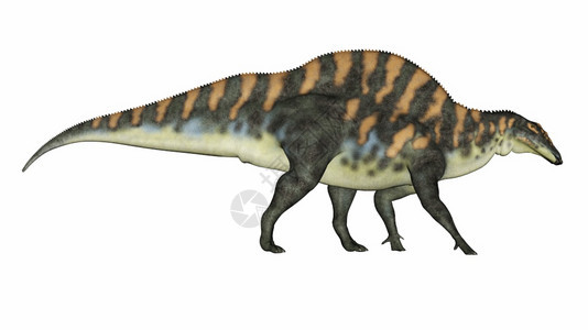自然白垩纪禽龙我们的恐在白色背景中与世隔绝3D变成我们的恐龙3D图片