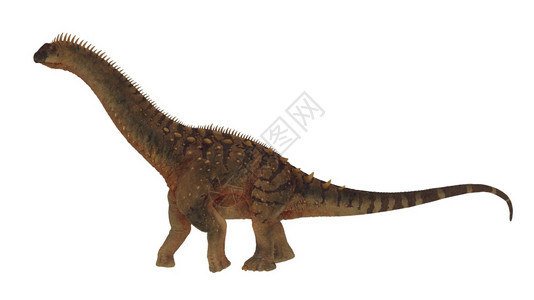 灭绝长尾灰色的在白背景中孤立的阿拉姆龙恐3D使阿拉姆龙恐和平地行走3D化身图片