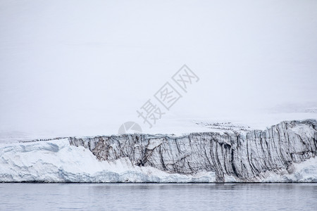 冰川上的白坚硬边缘直冲南极大海而下洋湖冷若冰霜图片