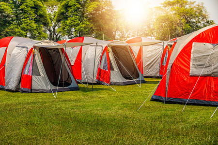 旅游树公园日落时在森林下扎营和帐篷图片