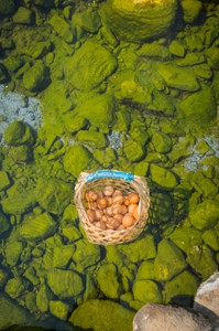 水煮牛蛙温泉煮鸡蛋在泰国出差旅行世界木头池塘背景