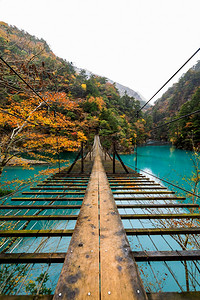 冒险花园在自然森林秋季青绿河上悬浮的美丽林木桥以日本宽角拍摄的班风景优美图片