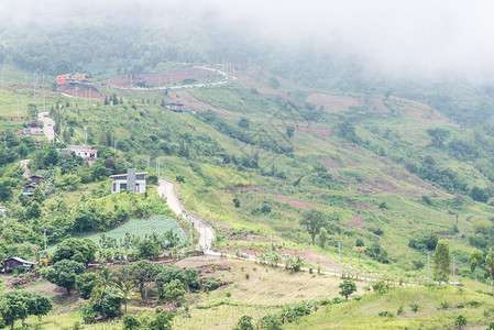 风景多雾路段曲线柏油在清晨雾中爬到高山顶草地图片