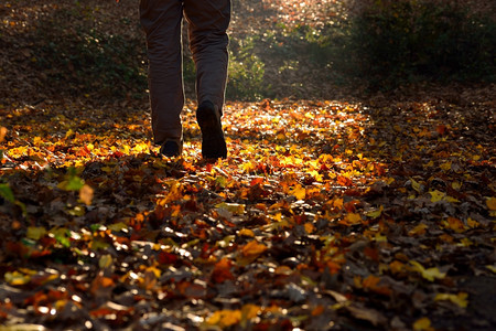 季节户外秋天一个男人在乡下走过间阴影图片
