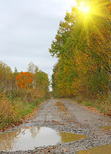 秋天风景和泥土路雨后有水坑明亮的新鲜污垢图片