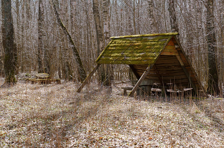 放松凉亭家森林护员的屋顶上布满了苔在森林中观光者有一处地方在森林中图片