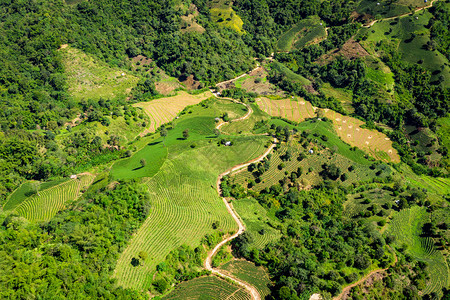 曲线飞山路连接城市与农耕区江莱泰国空中无人机最高视野的海平面农业图片
