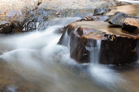 叶子植物从山上流下来的瀑布从山上流下来的溪总有一个小石瀑布秋天图片