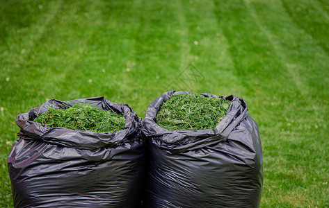 黑色的用草屑袋修剪家庭花园草坪在新修剪的草坪上用黑色塑料袋剪草屑用黑色袋修剪家庭花园草坪院子环境图片