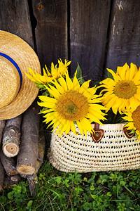 包原木一顶帽子束装在草袋里的向日葵站在木屋附近树女士图片