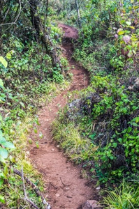 荒野自由泰国清迈DoiLuang清道山地貌泰国清迈黄色的图片