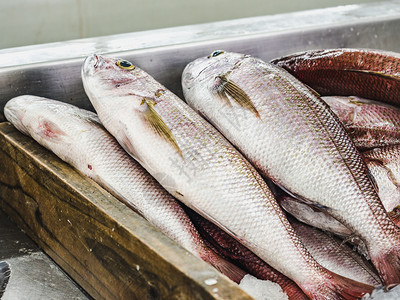 营养市场销售鱼鲜特写健康饮食概念鱼市鲜特写图片