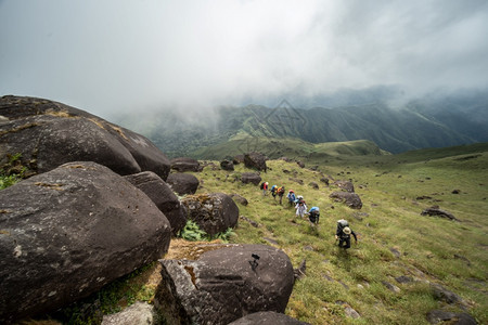 早晨乡村的有雾带着背包在山上徒步旅行泰国图片