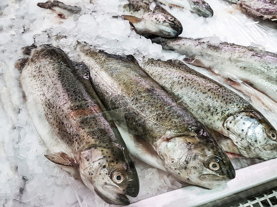 零售冰中新鲜的冻鱼在超级市上卖冷冻节食图片