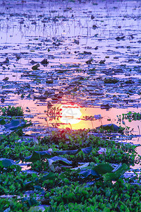 美丽橙日落夕阳在水面上的剪影图片