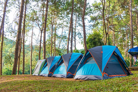 帐篷营地睡觉优质的闲暇在草地上扎营帐篷在公园区周末背景