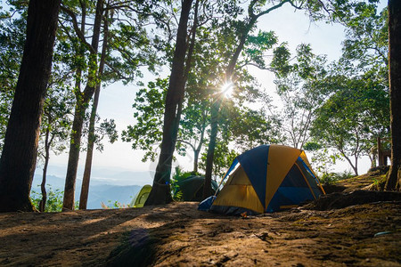 太阳在草地上扎营帐篷在公园区周末假期图片