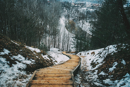 从高处查看雪木中的制楼梯环境绿色冬天图片