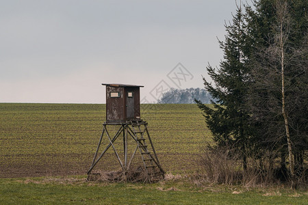 在树林和草地上打猎的木卫塔高荒野小屋图片