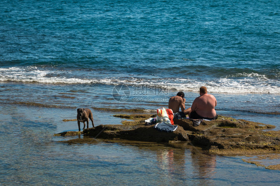 风2015年8月黑狗和两个男孩坐在海边礁上岸线沿图片