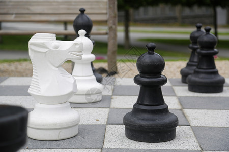 力量在露天象棋板上黑白国王在露天象棋板上成功挑战图片