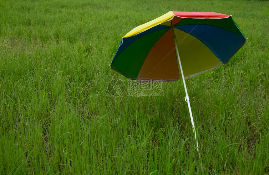 场地保护在播种稻田放置的多彩雨伞环境图片