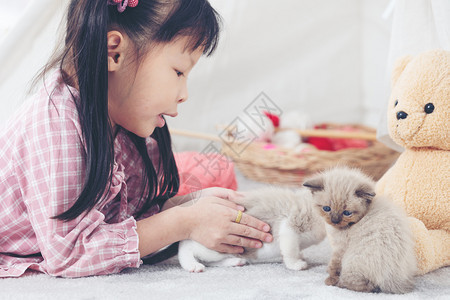 在家里玩猫的小姑娘朋友船概念c在家玩猫朋友船概念小猫孩子女们图片