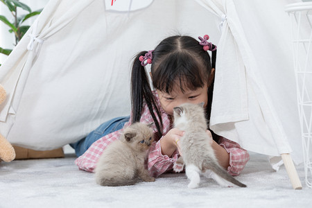 女快乐的可爱在家里玩猫小姑娘朋友船概念c在家玩猫朋友船概念图片