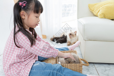 兽医愉快微笑在家里玩猫的小姑娘朋友船概念c在家玩猫朋友船概念图片