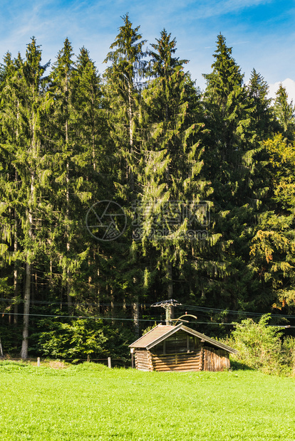 森林附近的木屋头乡村户外图片