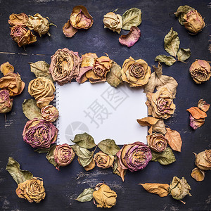 花瓣的玫瑰朵在纸页上布满了文字区域木制生锈背景最接近的顶端视图中用老式风格爱衰变花的图片