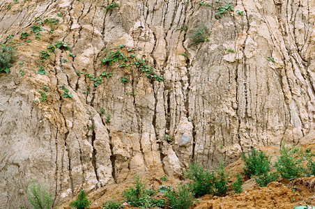 风景陡峭的海岸粘土杂草坡崩塌岩石上的不同土壤粘杂草坡度崩塌岩石上的不同土壤陡峭的海岸俄罗斯杂草丛生图片