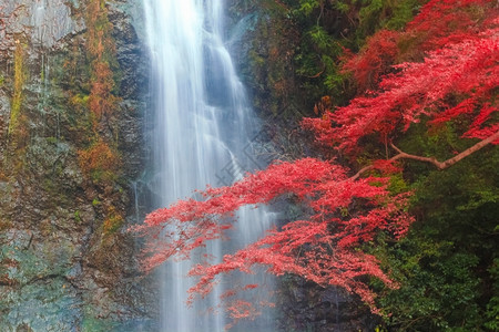 自然秋季瀑布接触闪电图片