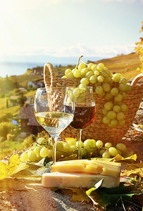 饮料生活瑞士拉沃葡萄和酒收成图片