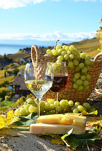 瑞士拉沃葡萄和酒旅行生长蒙特勒图片