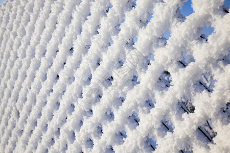 冬季阳光明媚的白天有雪冰和霜冻的金属栅栏加上雪边界铁自然图片
