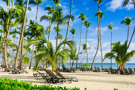景观清除假期加勒比海景巴瓦罗滩多米尼加Puntacana图片