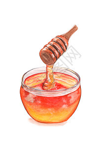 杓食物涂鸦单向的粘蜂蜜和柑橘手画水彩图片