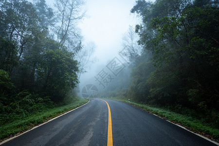 夏天森林沥青与自然和雾雨相交的公路图片